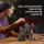 LEGO Icons  11383 Rezydencja burmistrzyni - 1577944 - zdjęcie 10